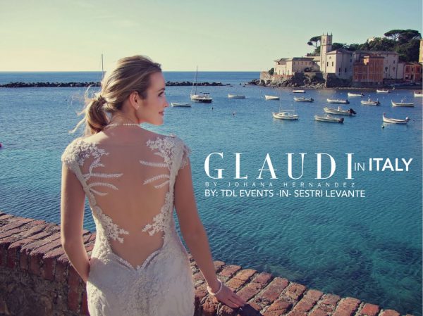 Edited--High-(Back)-